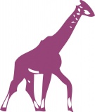 Żyrafa 2
